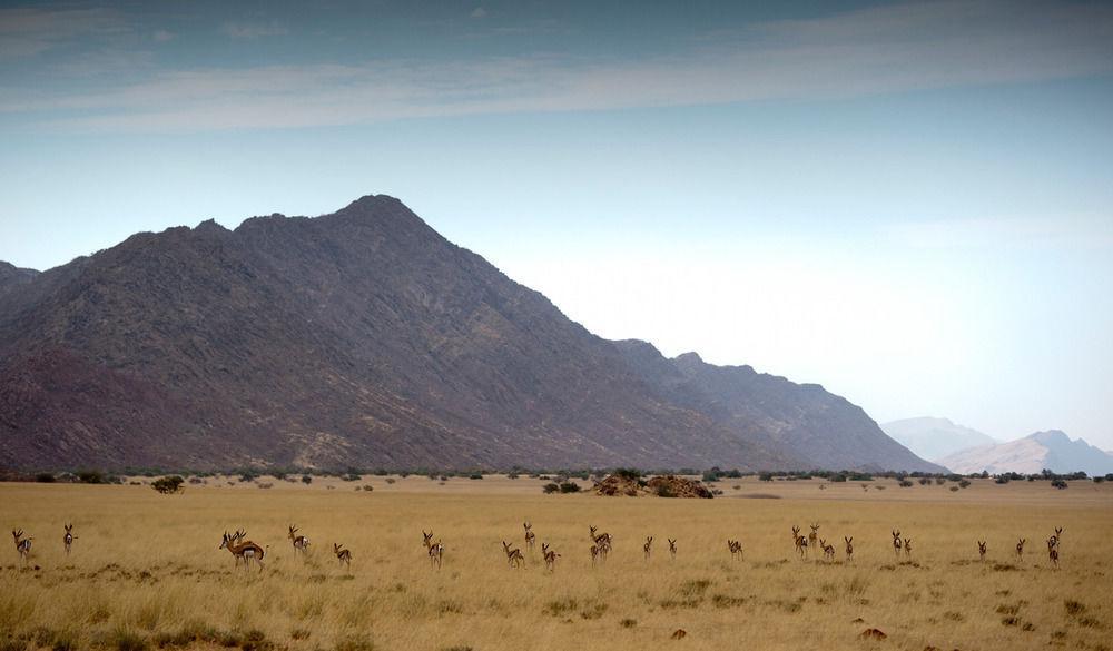 Okahirongo Elephant Lodge Purros 外观 照片